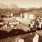 上川霊園の一画に一妙寺の墓地を購入しました。信徒さんと一緒にお経を読み酒、塩、米を使って墓地を浄めます。石塔の建つ地下に身延山にある日蓮聖人の墓地の石を少しいただき、埋めました。